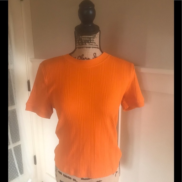Zara Tops Zara Ribbed Top Poshmark